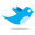 Follow me on Twitter